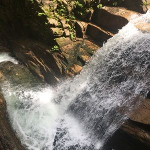 Meet your Posher, Jocelyn